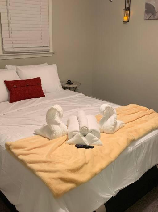 Apartamento Good Vibe In The Heart Of Plaza/midwood Area